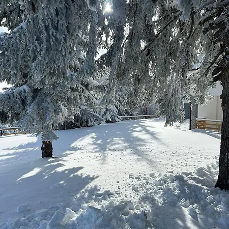 Suncani Vrhovi Lux Planina Golija Villa Raska