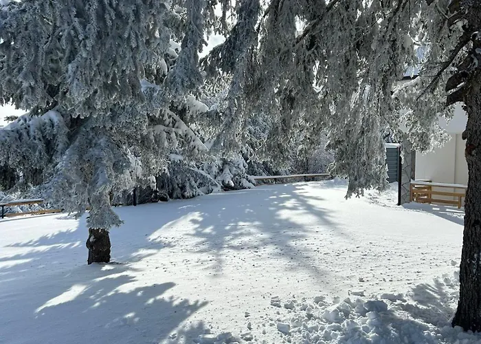 Suncani Vrhovi Lux Planina Golija 빌라 라스카