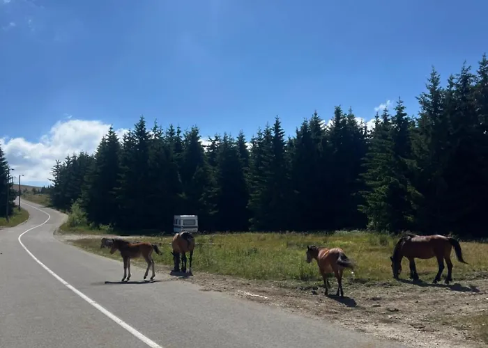 Suncani Vrhovi Lux Planina Golija *